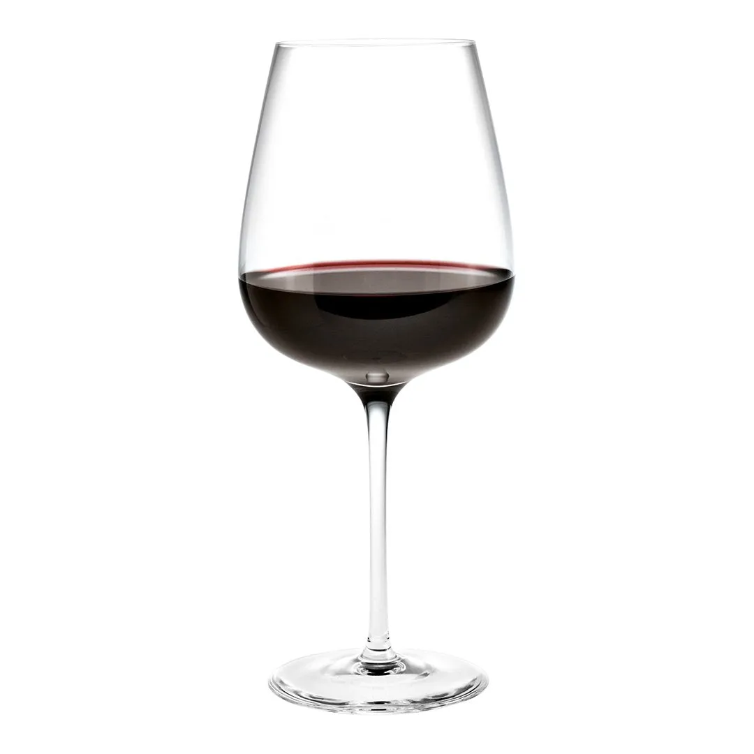 Bouquet Red Wine Glass - Set of 6