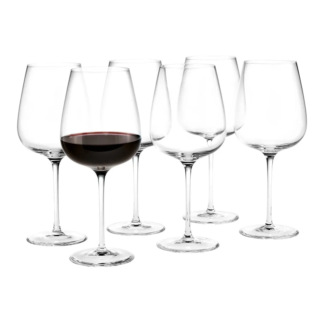 Bouquet Red Wine Glass - Set of 6