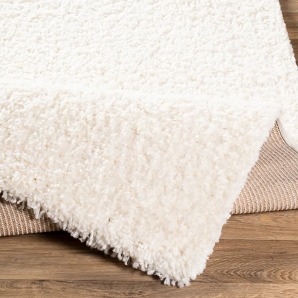 Deluxe shag Rugs