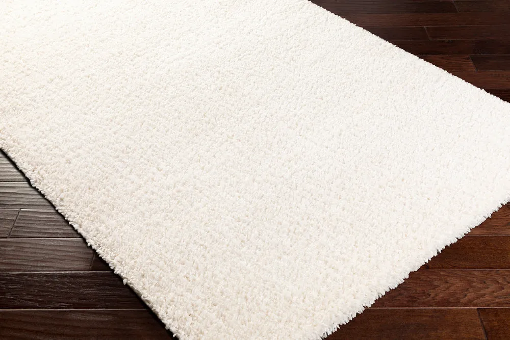 Deluxe shag Rugs