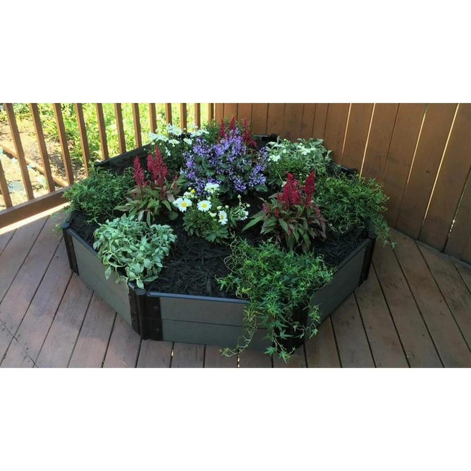 Frame It All | Tool-Free St. John Baptistry Raised Garden Bed (Octagon) 5' X 5' X 22" - Uptown Brown - 1" Profile