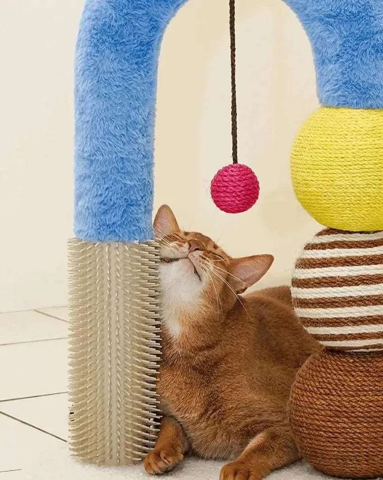 Geometric Multi-functional Cat Scratching Post for Play and Relaxation