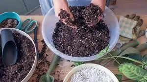 Potting Mix packet for Hanging pots (Peat Moss   perlite   fertilizer) for Hanging Baskets & Plastic pots